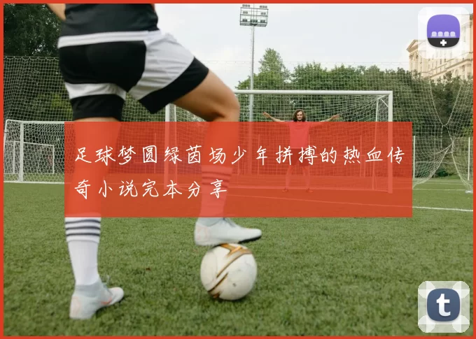 足球梦圆绿茵场少年拼搏的热血传奇小说完本分享