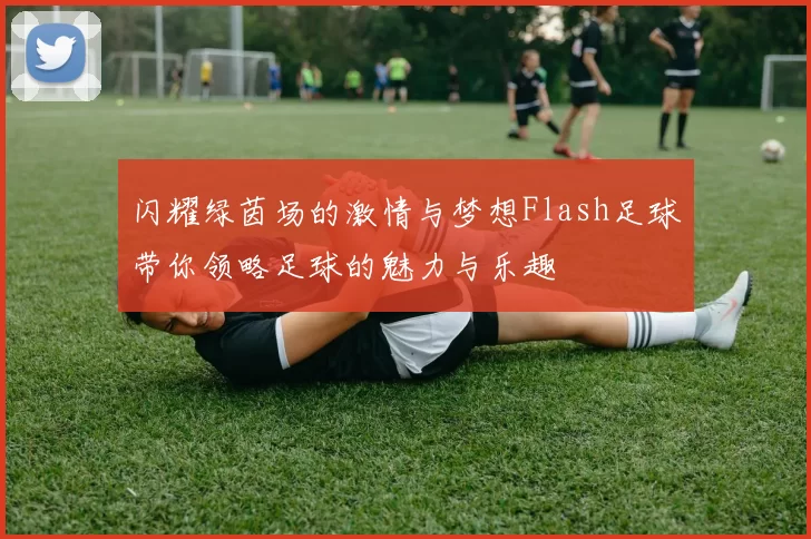 闪耀绿茵场的激情与梦想Flash足球带你领略足球的魅力与乐趣
