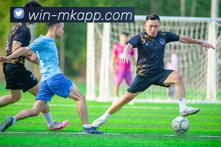 多媒体互动体验